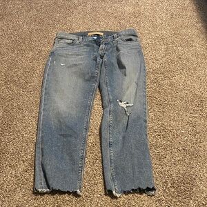 Women size 26 Jeans